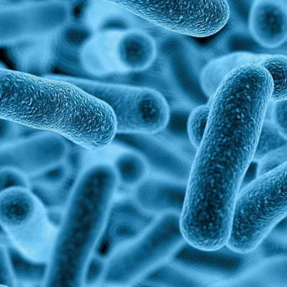 微生物检测仪海荭兴